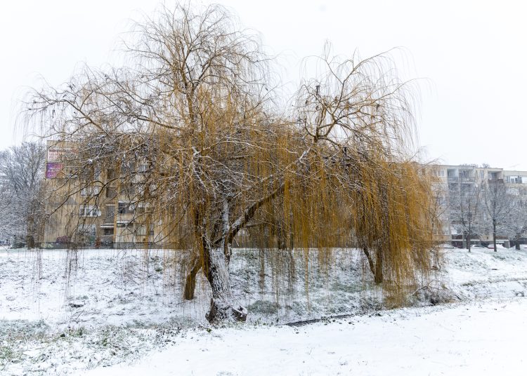 Hólepel borította be Vácot – galéria