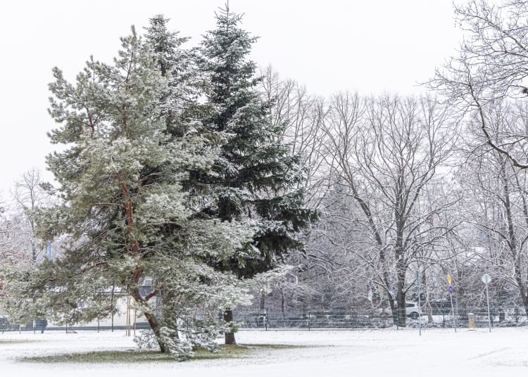 Hólepel borította be Vácot – galéria