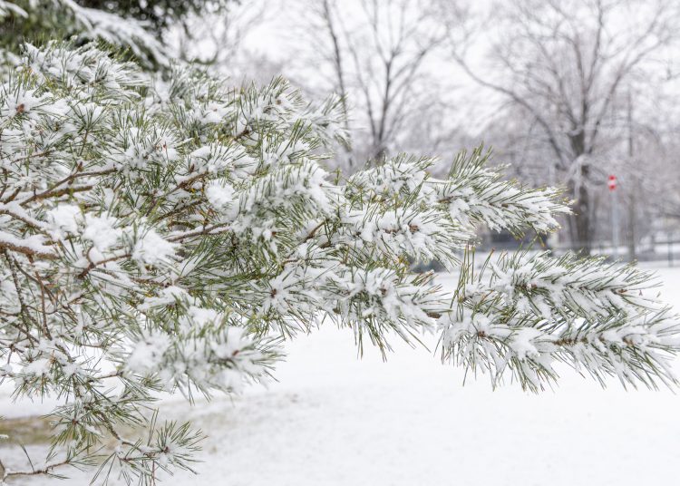 Hólepel borította be Vácot – galéria