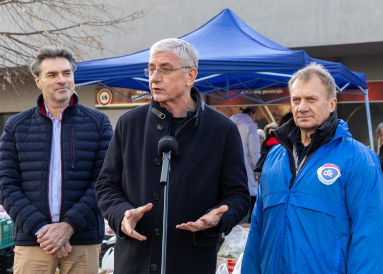 Vácon is féláron osztott gyümölcsöt a DK – galéria