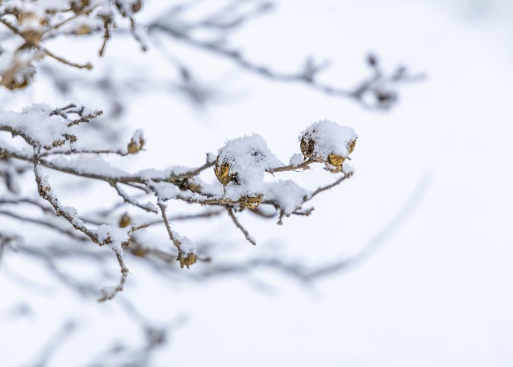 Hólepel borította be Vácot – galéria