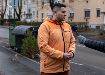 Január 27-én viszi el utoljára a fenyőket a hulladékkezelő – videó