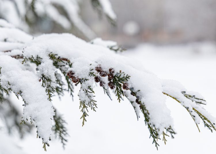 Hólepel borította be Vácot – galéria