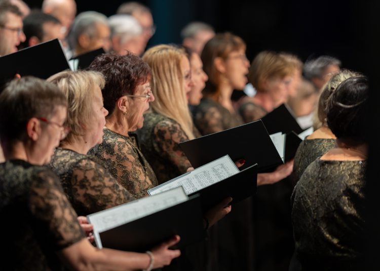 A magyar kultúra napját ünnepelte a város – galéria