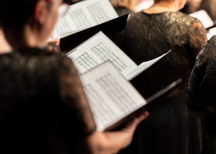 A magyar kultúra napját ünnepelte a város – galéria