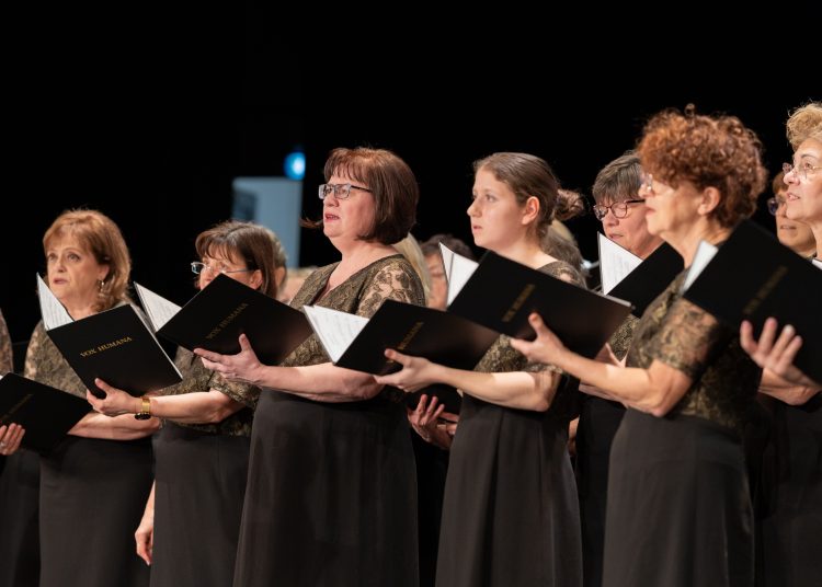 A magyar kultúra napját ünnepelte a város – galéria