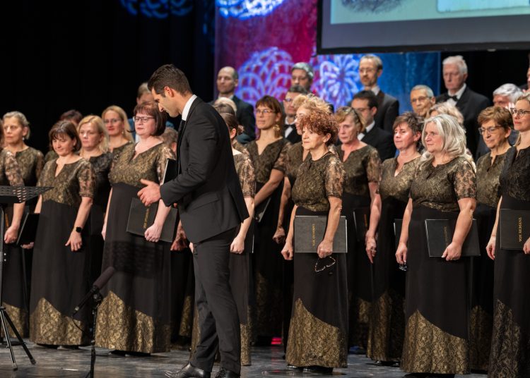 A magyar kultúra napját ünnepelte a város – galéria