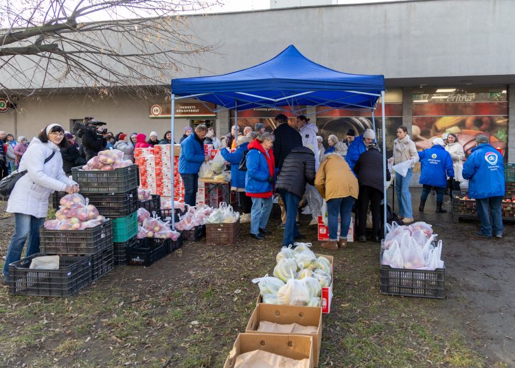 Vácon is féláron osztott gyümölcsöt a DK – galéria