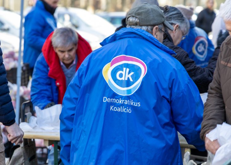 Vácon is féláron osztott gyümölcsöt a DK – galéria