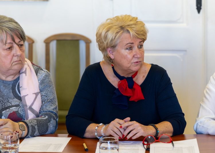 Először ült össze idén a váci Idősügyi Tanács – galéria