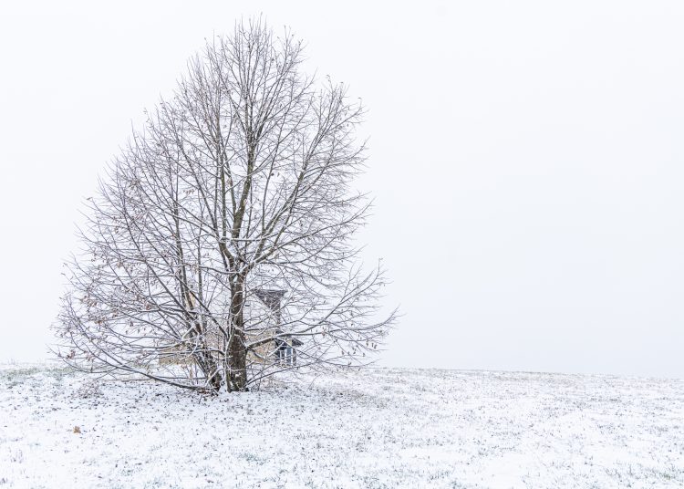 Hólepel borította be Vácot – galéria