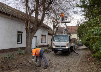 A Városfejlesztő már megkezdte a télvégi fametszést – videó