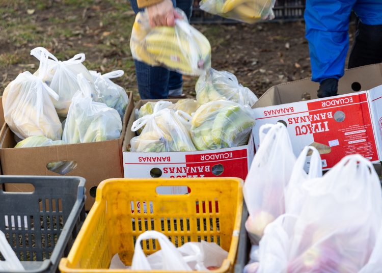 Vácon is féláron osztott gyümölcsöt a DK – galéria