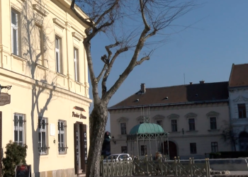 Huszonhét fát gallyaznak le a főtéren
