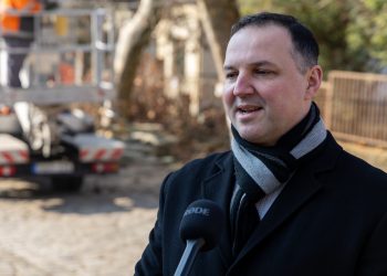 Megkezdték a deákvári platánfasor visszametszését – galéria és videó