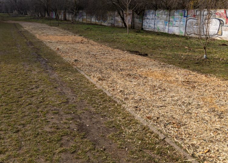 Mulccsal terítették be az ösvényeket a Munkácsy parkban – galériával