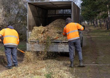 Mulccsal terítették be az ösvényeket a Munkácsy parkban – galériával