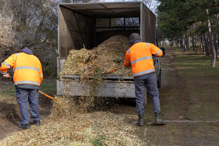 Mulccsal terítették be az ösvényeket a Munkácsy parkban – galériával