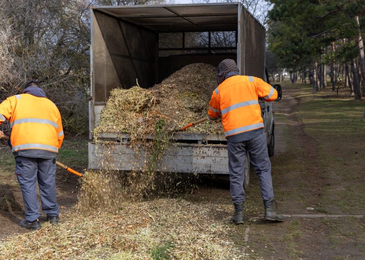 Mulccsal terítették be az ösvényeket a Munkácsy parkban – galériával