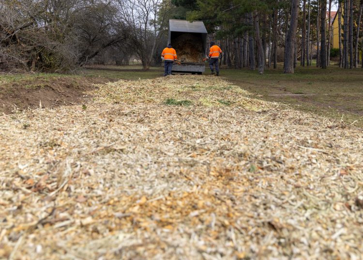Mulccsal terítették be az ösvényeket a Munkácsy parkban – galériával