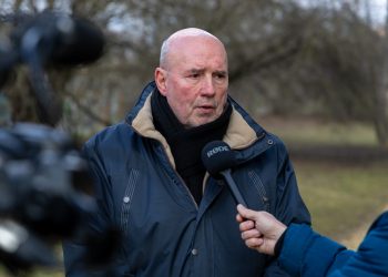 Mulccsal terítették be az ösvényeket a Munkácsy parkban – galériával