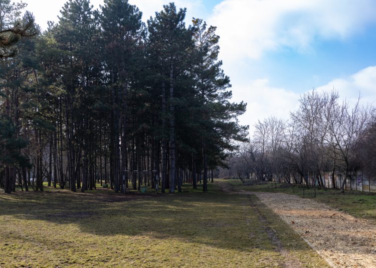 Mulccsal terítették be az ösvényeket a Munkácsy parkban – galériával