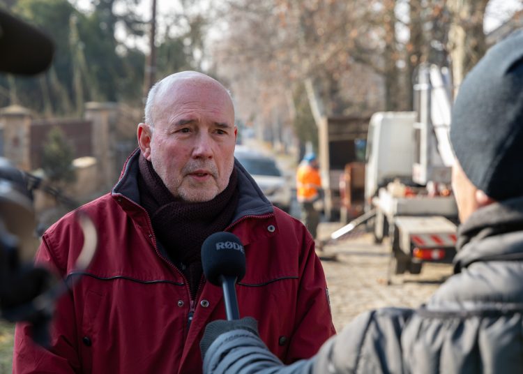 Megkezdték a deákvári platánfasor visszametszését – galéria és videó