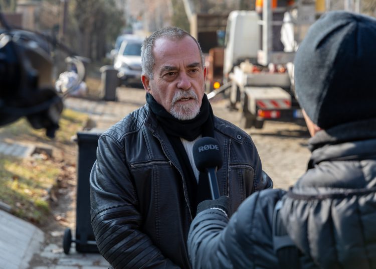 Megkezdték a deákvári platánfasor visszametszését – galéria és videó