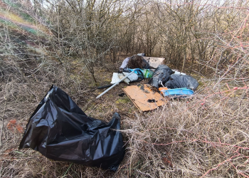 40 zsák hulladékot szedtek össze szombaton Sejcén és Deákváron