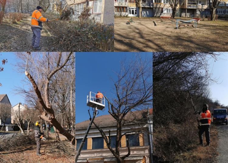 Utat javított, árkot tisztított és fát vágott a Városfejlesztő – képekkel