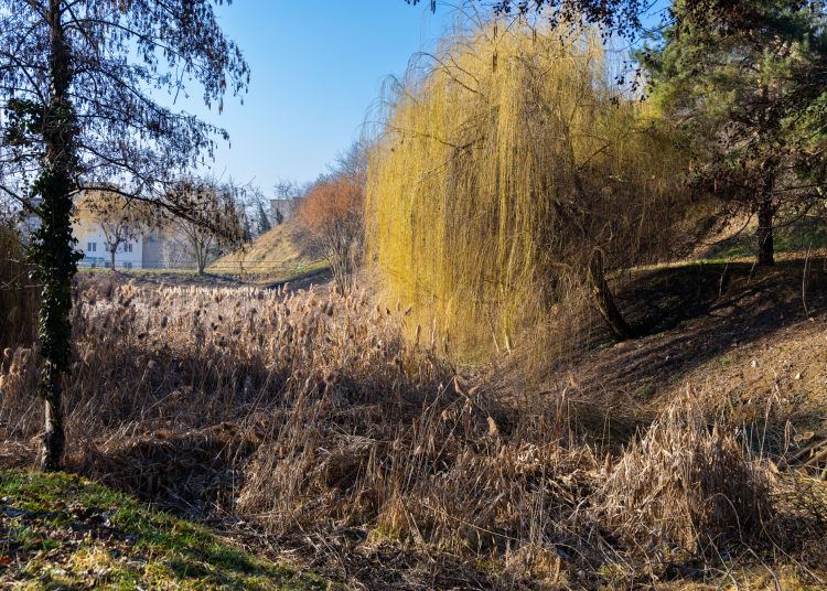 A deákvári záportározó tisztítását végzi a Városfejlesztő – galéria és videó