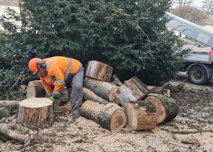 A Váci Városfejlesztő Kft. 2025.02.24. – 2025.03.02. közötti munkái