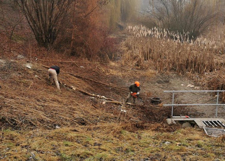 A Váci Városfejlesztő Kft. 2025.02.24. – 2025.03.02. közötti munkái