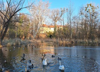 Száraz, napos idő várható, reggelenként még fagyokkal