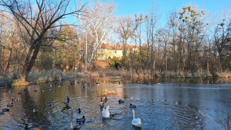Száraz, napos idő várható, reggelenként még fagyokkal