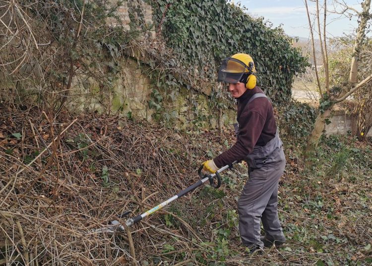 A Váci Városfejlesztő Kft. 2025.03.03. – 2025.03.09. között végzett munkái