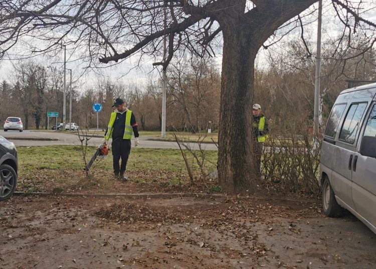 A Váci Városfejlesztő Kft. 2025.03.10. – 2025.03.16. közötti munkái