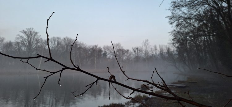 Hétfőn még lehetnek záporok