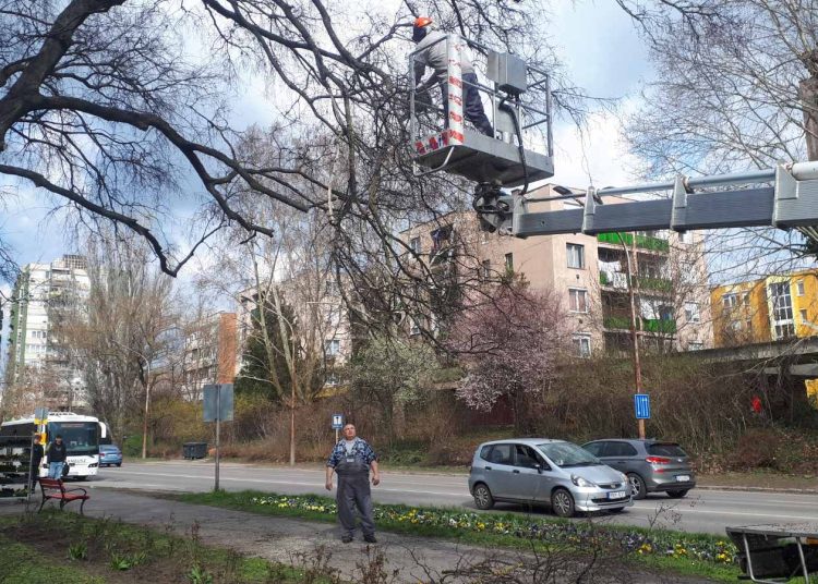 A Váci Városfejlesztő Kft. 2025.03.24. – 2025.03.30. közötti munkái – fotógaléria