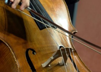 Vácon álltak egy színpadra a Bogányi testvérek