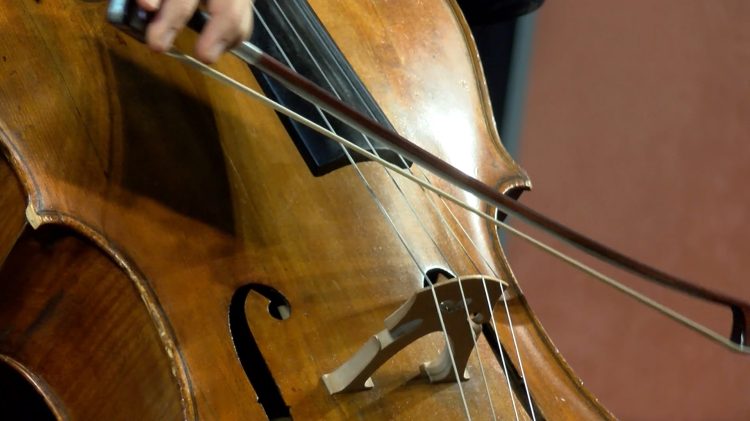 Vácon álltak egy színpadra a Bogányi testvérek