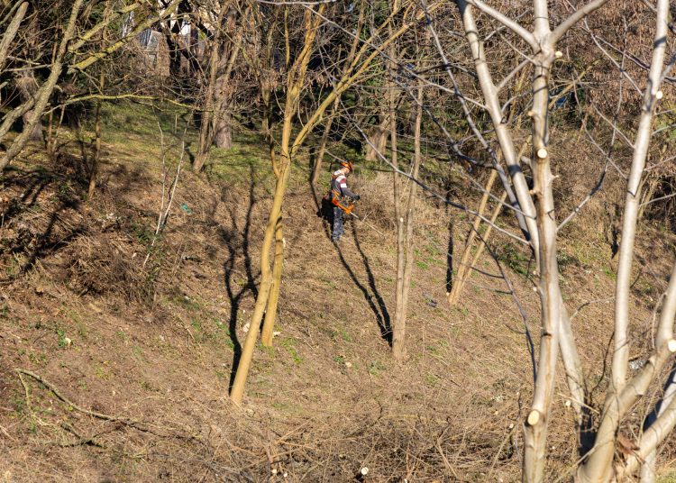 A deákvári záportározó tisztítását végzi a Városfejlesztő – galéria és videó