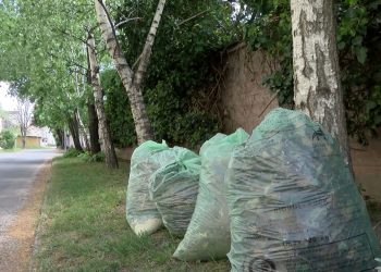 Hétfőtől átvehetők a zöldhulladék-gyűjtő zsákok