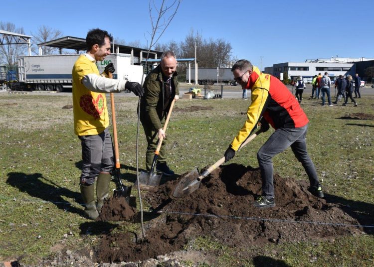 A Michelin akciójának köszönhetően nőtt a város tüdőkapacitása