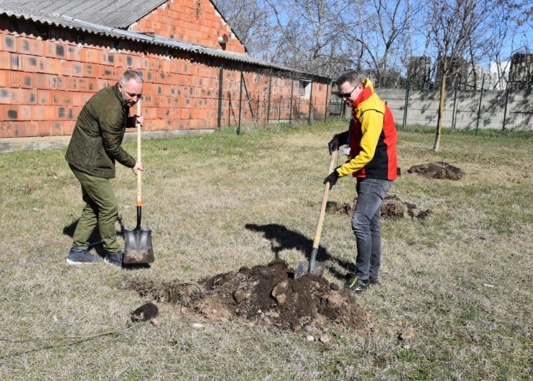 A Michelin akciójának köszönhetően nőtt a város tüdőkapacitása