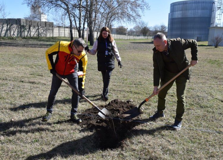 A Michelin akciójának köszönhetően nőtt a város tüdőkapacitása