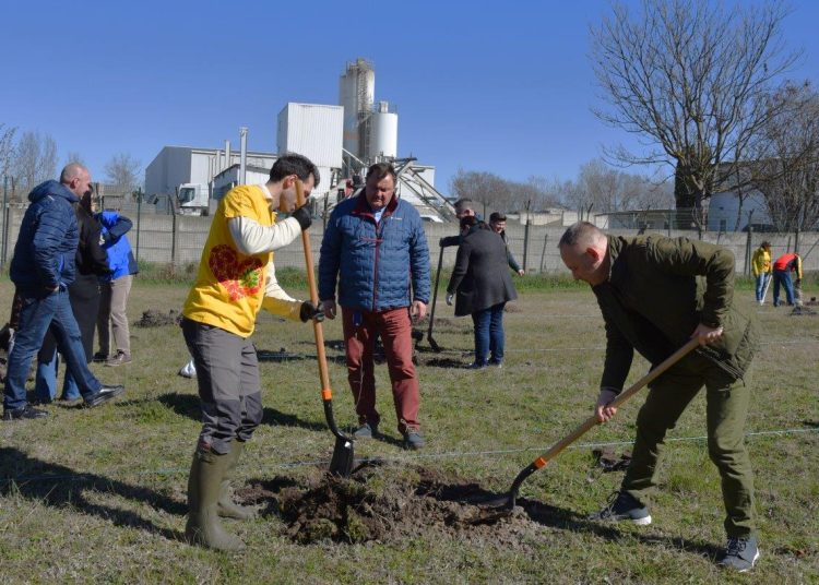A Michelin akciójának köszönhetően nőtt a város tüdőkapacitása
