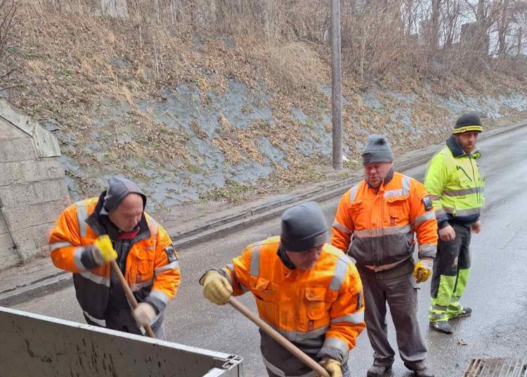 A Váci Városfejlesztő Kft. 2025.02.24. – 2025.03.02. közötti munkái