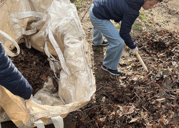 Városszerte közösségi takarítás zajlott – fotógaléria