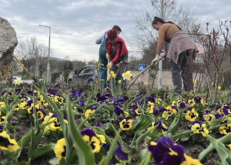 Városszerte közösségi takarítás zajlott – fotógaléria